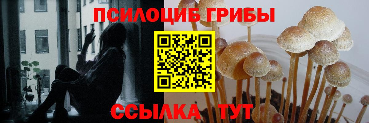 Псилоцибиновые грибы мицелий  Вход с VPN  Елец  Галлюциногенные грибы ЛСД 